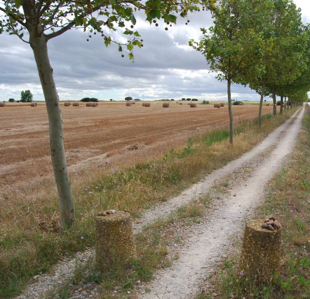 Tour 3 León - Pilgino