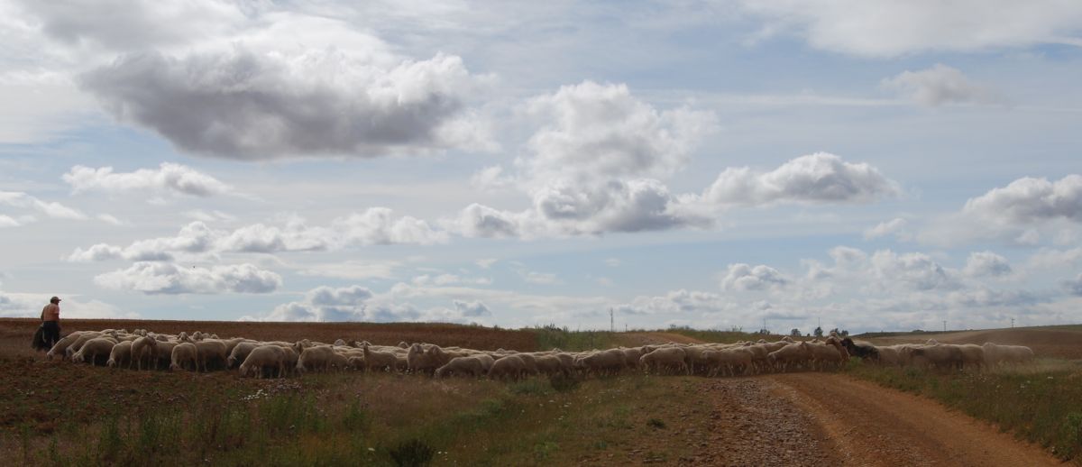 Tour 3 León - Pilgino