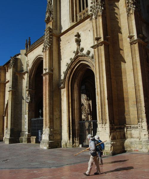 Camino Primitivo - Pilgino