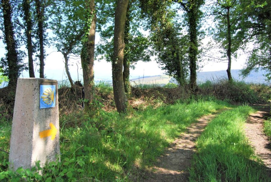 Camino Primitivo - Pilgino
