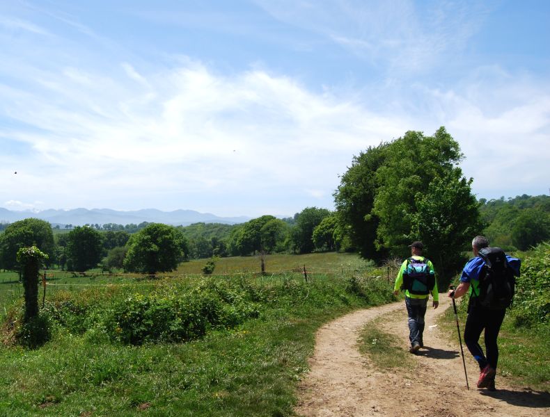 Camino Primitivo - Pilgino