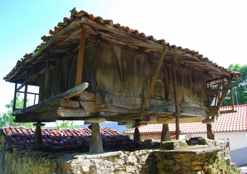 Camino Primitivo - Pilgino