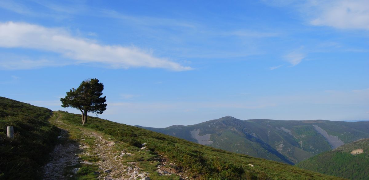 Camino Primitivo - Pilgino