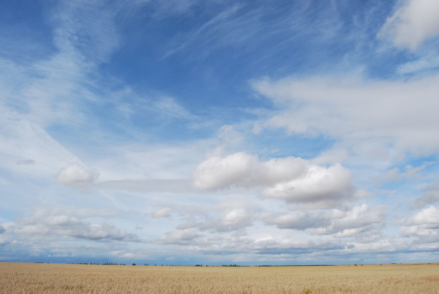 Tour 3 León - Pilgino