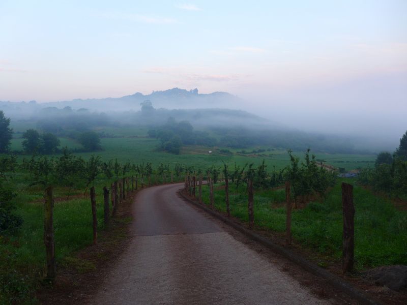 Camino Primitivo - Pilgino