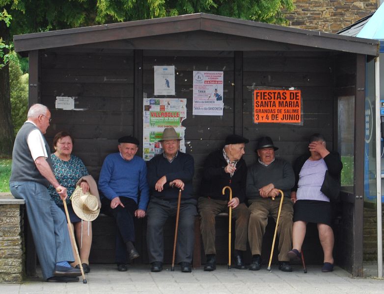 Camino Primitivo - Pilgino