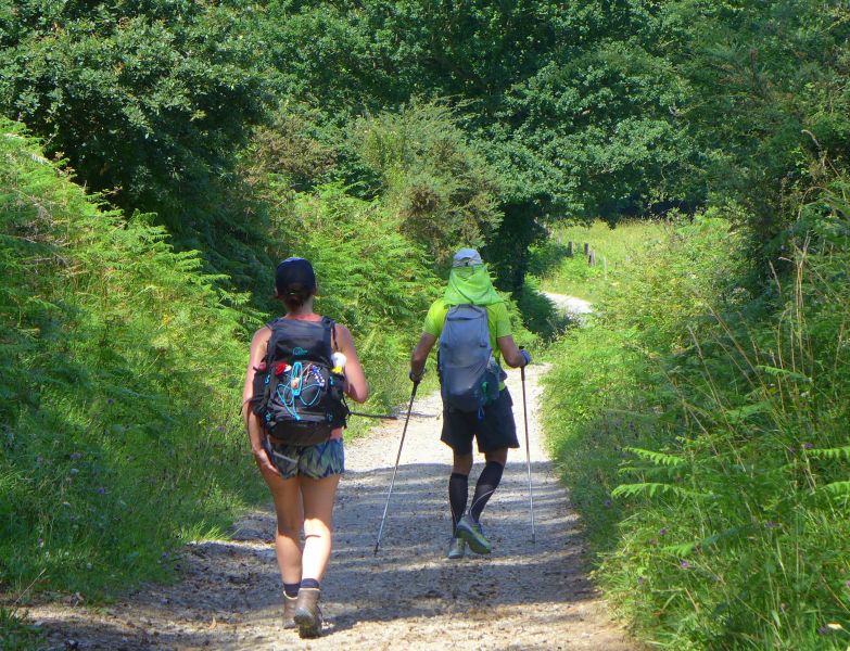 Camino Primitivo - Pilgino