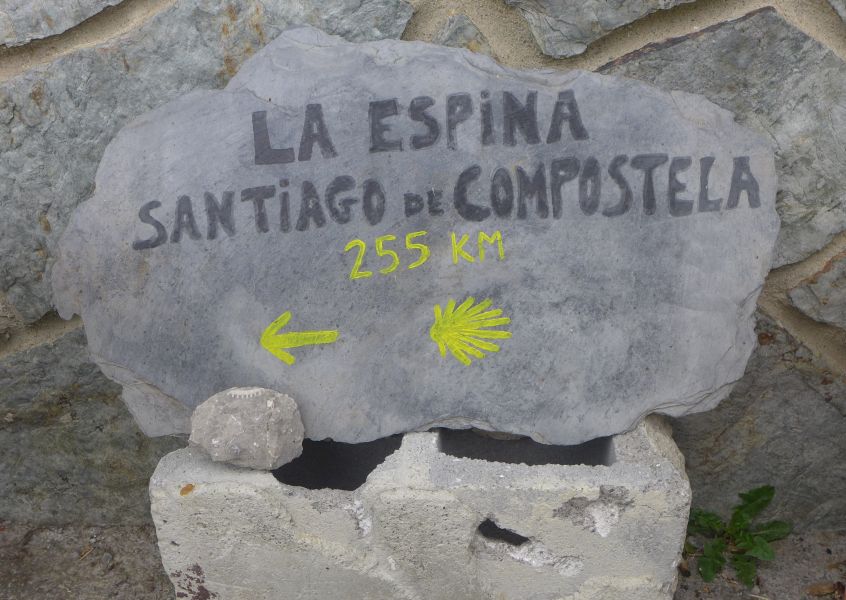 Camino Primitivo - Pilgino