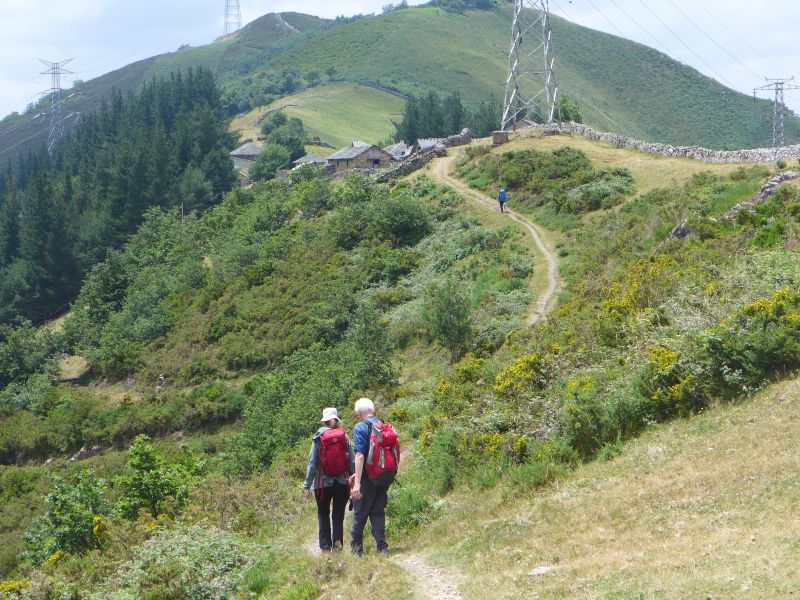 Camino Primitivo - Pilgino