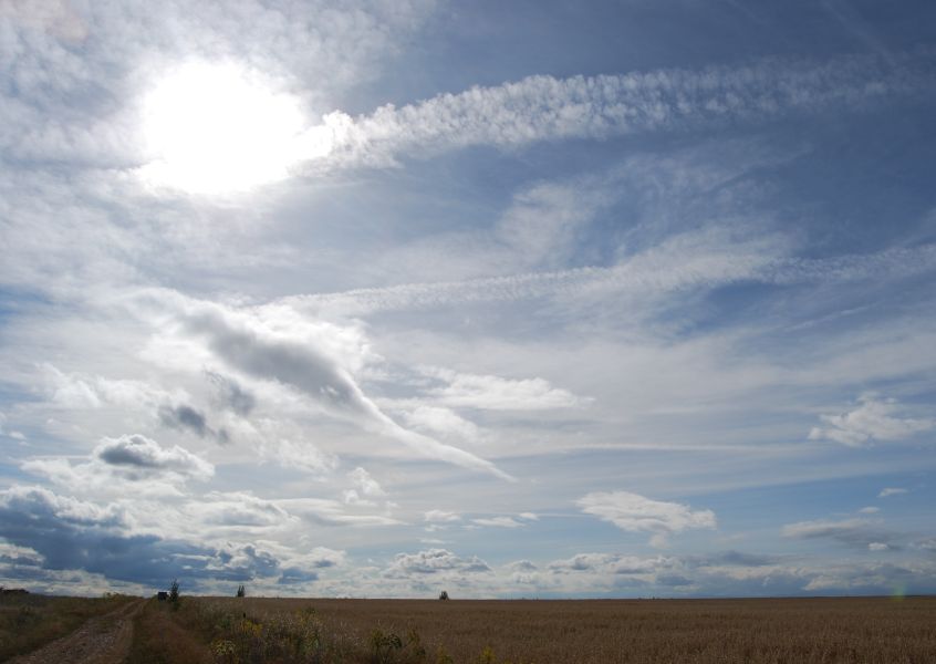 Tour 3 León - Pilgino