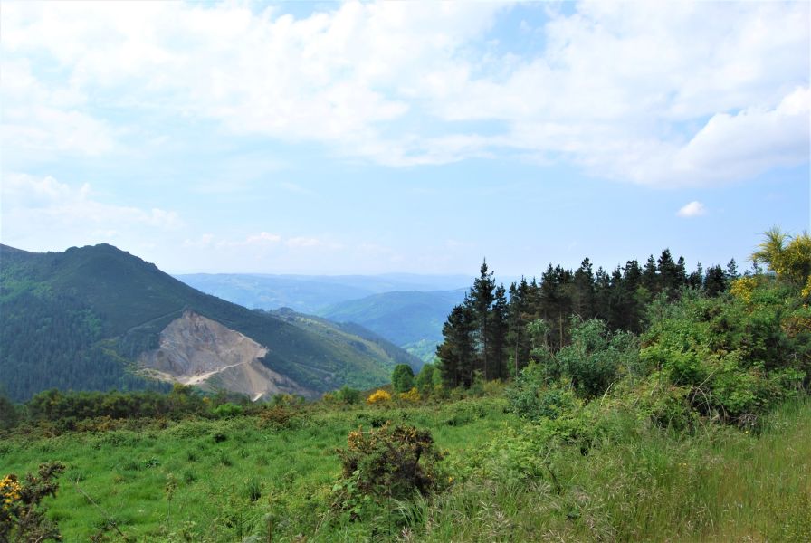 Camino Primitivo - Pilgino