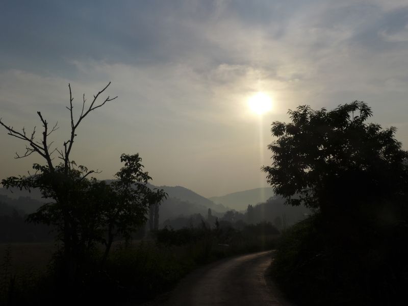 Camino Primitivo - Pilgino