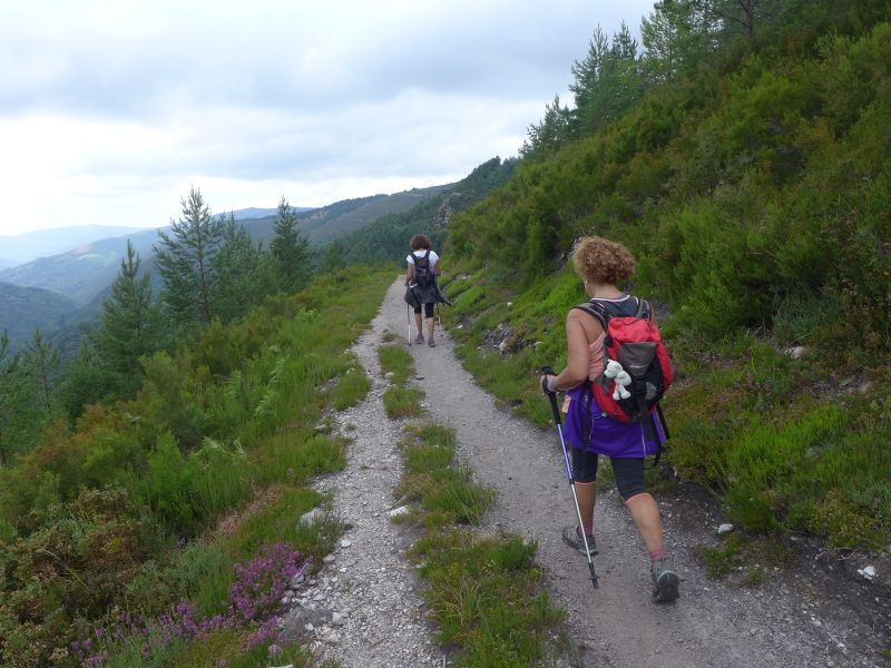 Camino Primitivo - Pilgino