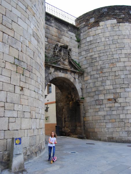 Camino Primitivo - Pilgino