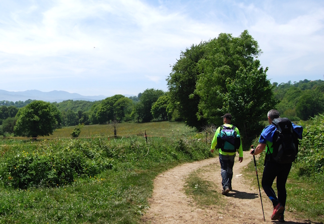 Camino Primitivo - Pilgino