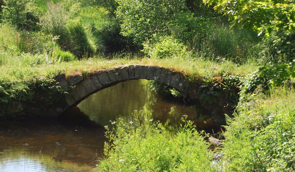 Camino Primitivo - Pilgino