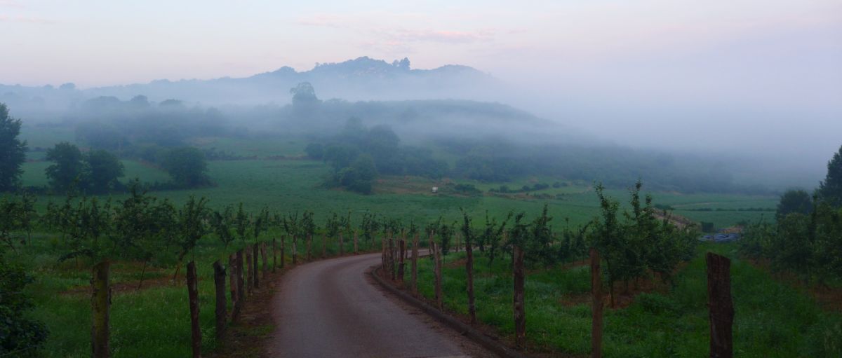 Camino Primitivo - Pilgino