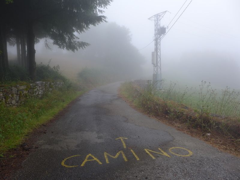 Camino Primitivo - Pilgino