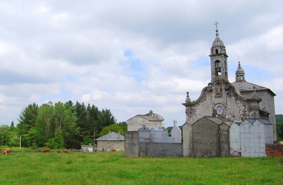 Camino Primitivo - Pilgino