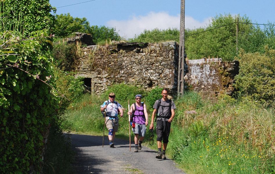 Camino Primitivo - Pilgino