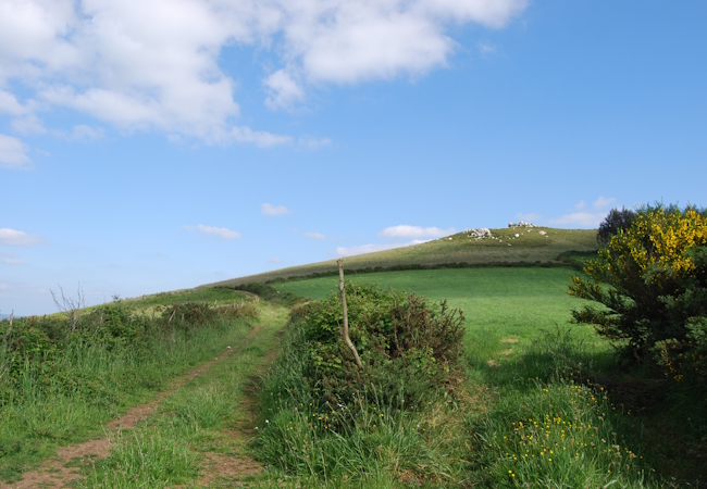 Camino Primitivo - Pilgino