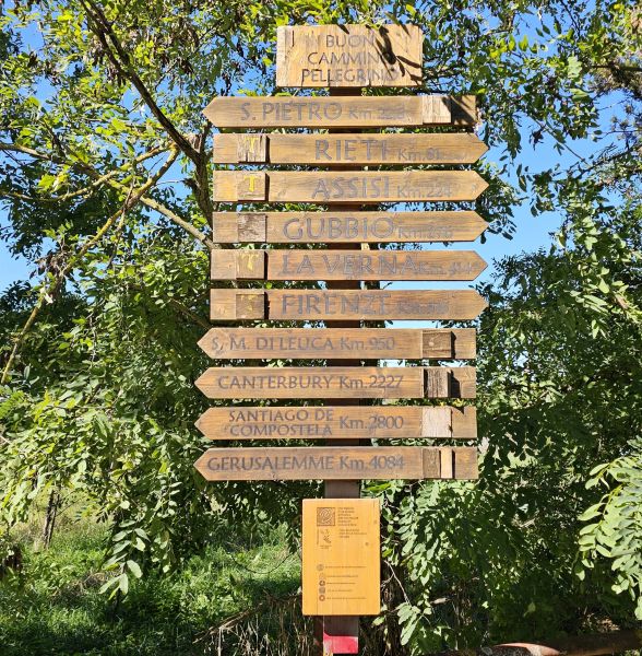 Camino de San Francisco: Recorrido por Roma - Pilgino