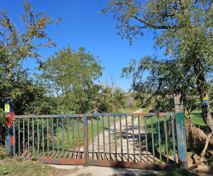 Camino de San Francisco: Recorrido por Roma - Pilgino