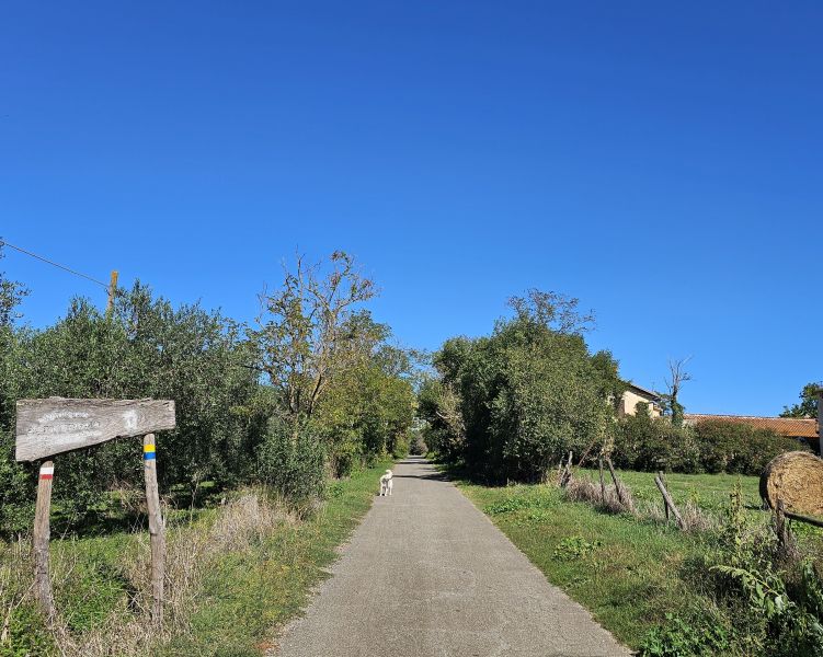 Camino de San Francisco: Recorrido por Roma - Pilgino