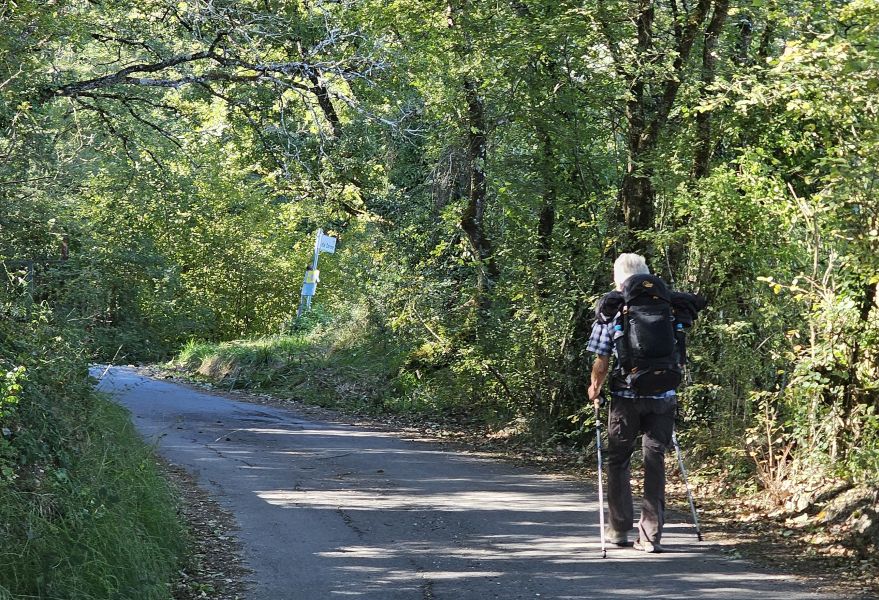 Camino de San Francisco: Recorrido por Roma - Pilgino