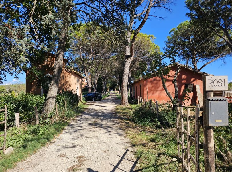 Camino de San Francisco: Recorrido por Roma - Pilgino