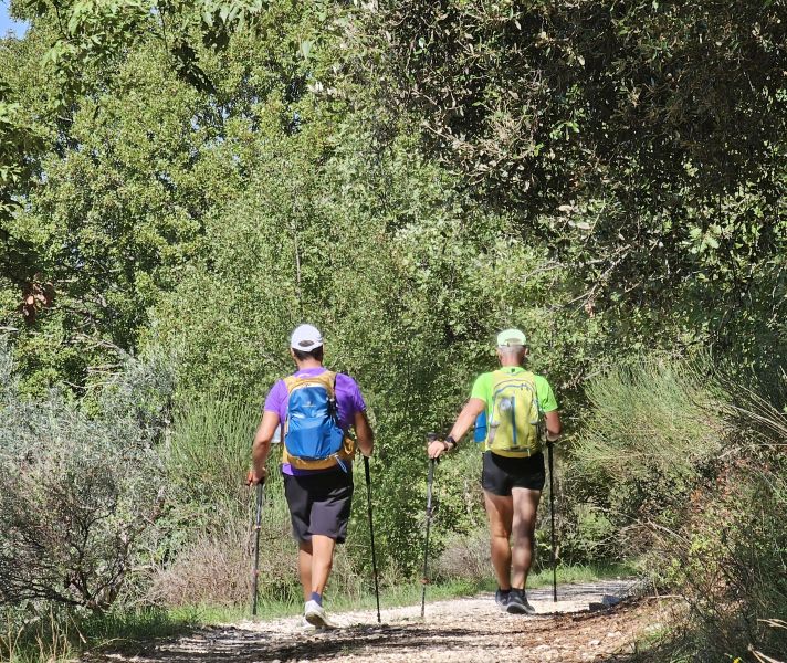 Camino de San Francisco: Recorrido por Roma - Pilgino