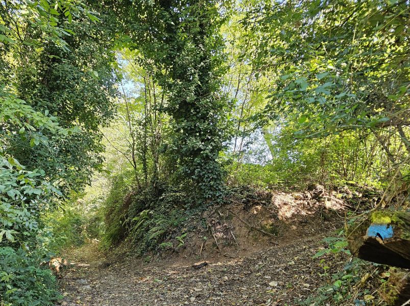 Camino de San Francisco: Recorrido por Roma - Pilgino