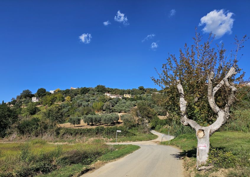 Camino de San Francisco: Recorrido por Roma - Pilgino