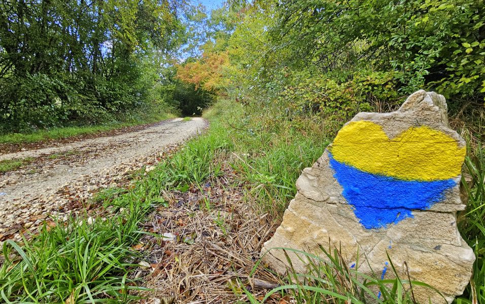 Camino de San Francisco: Recorrido por Roma - Pilgino