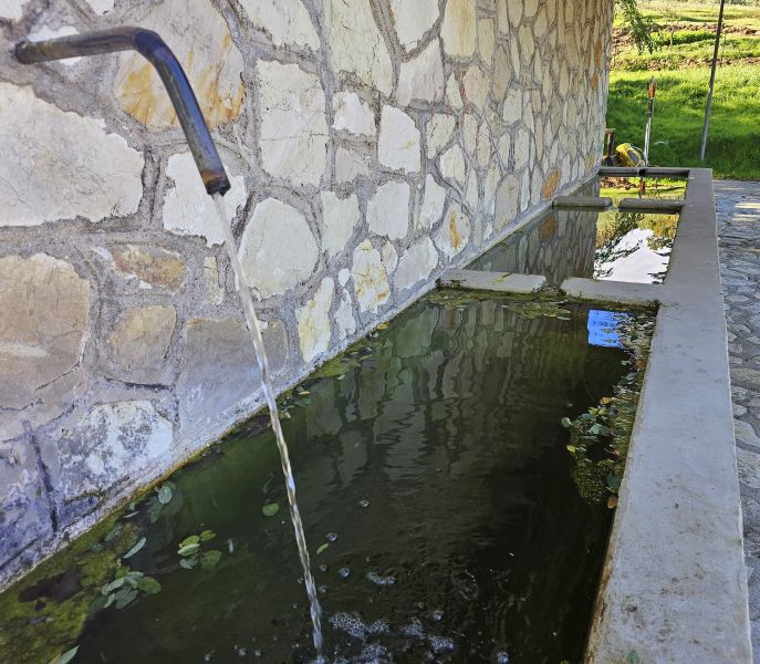 Camino de San Francisco: Recorrido por Roma - Pilgino