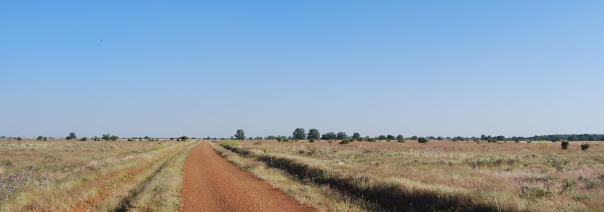 Tour 3 León - Pilgino