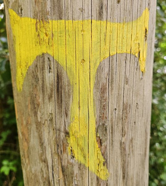 Franziskusweg: Tour Rieti - Pilgino