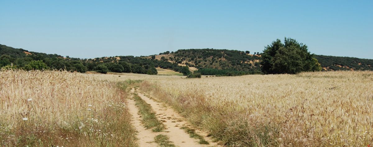 Tour 3 León - Pilgino