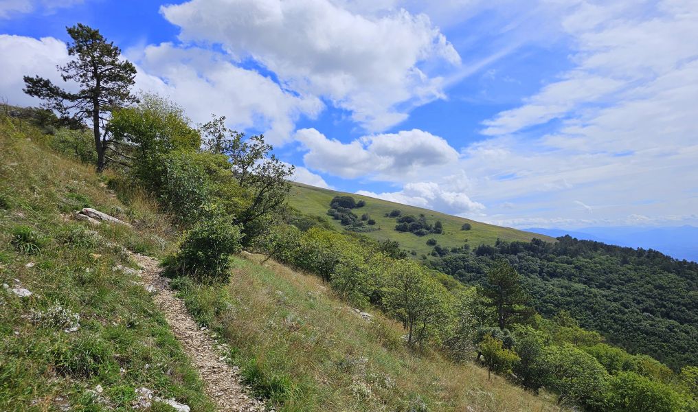 Franziskusweg: Tour Rieti - Pilgino