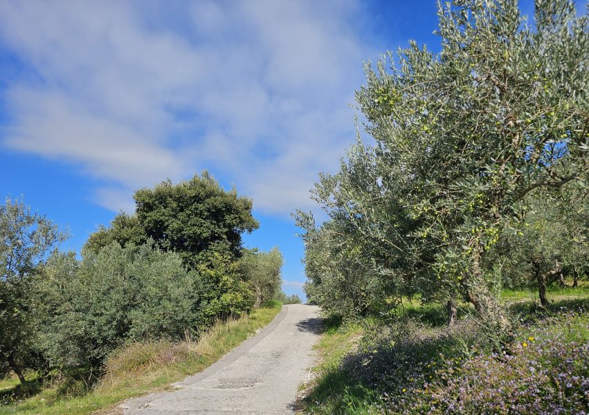 Franziskusweg: Tour Rieti - Pilgino