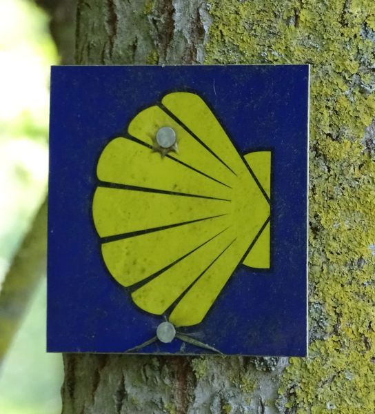 Mosel Camino - Pilgino