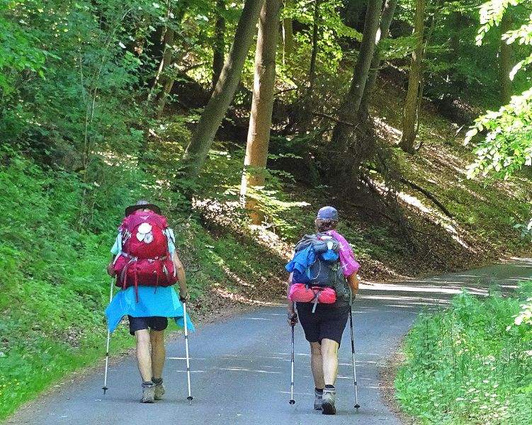 Mosel Camino - Pilgino
