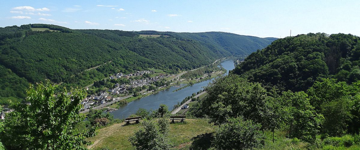Mosel Camino - Pilgino