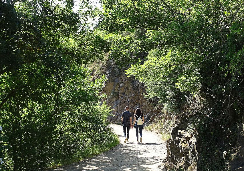 Mosel Camino - Pilgino