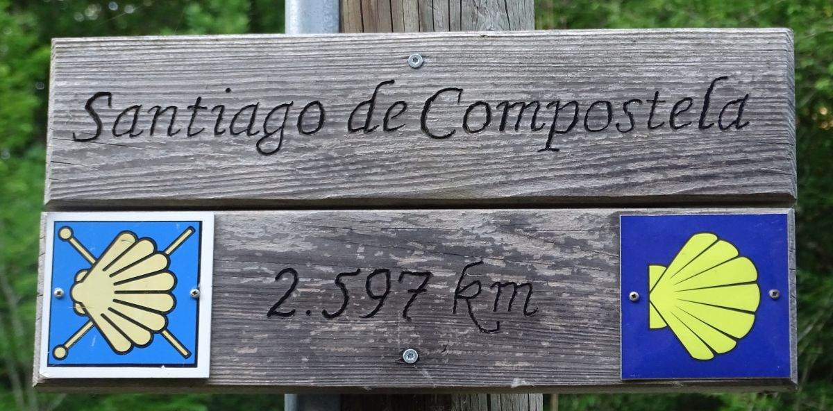 Mosel Camino - Pilgino