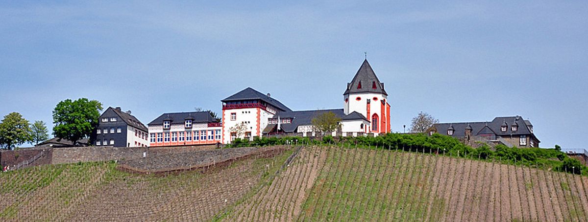 Mosel Camino - Pilgino