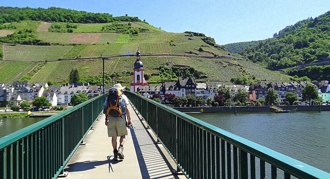 Mosel Camino - Pilgino