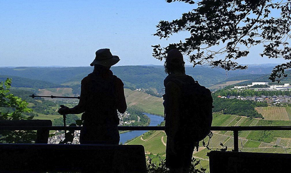 Mosel Camino - Pilgino