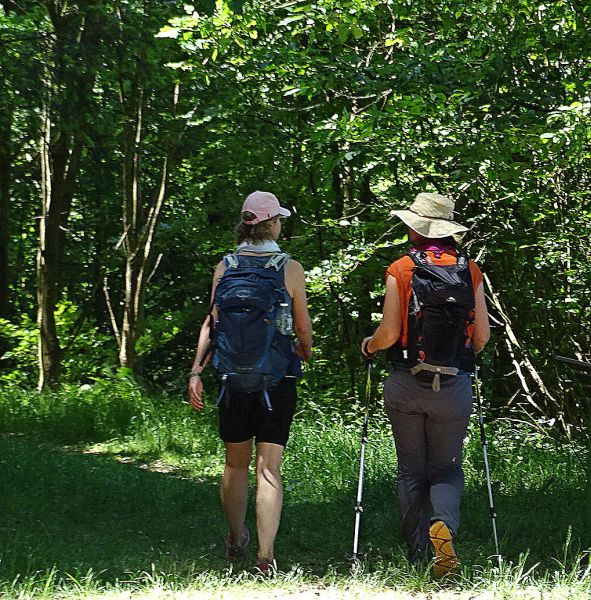 Mosel Camino - Pilgino