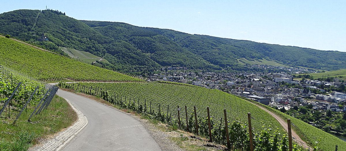 Mosel Camino - Pilgino